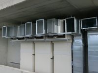 CIMG2345-600x300 (1)